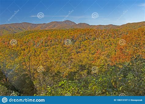 Fall Panorama On The Blue Ridge Parkway Stock Image Image Of Blue