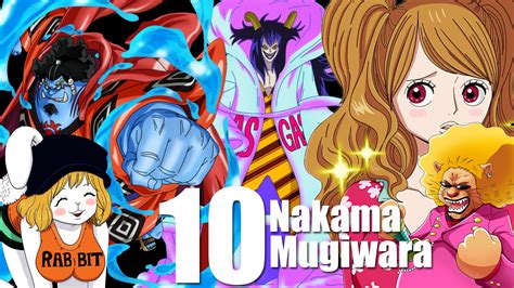 O Décimo Mugiwara One Piece Novo Nakama Youtube