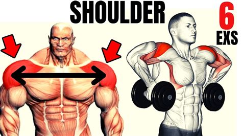 6 Best Shoulders With Dumbells Only Les Meilleurs Exercises