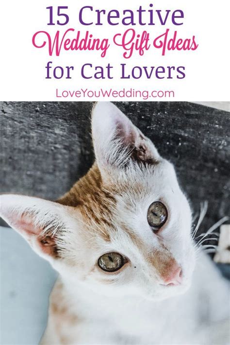 Maybe you would like to learn more about one of these? 15 Creative Wedding Gift Ideas for Cat Lovers | Cat lovers ...