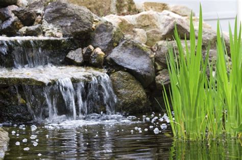 Backyard Pond Waterfalls How To Build A Pond Waterfall In The Garden