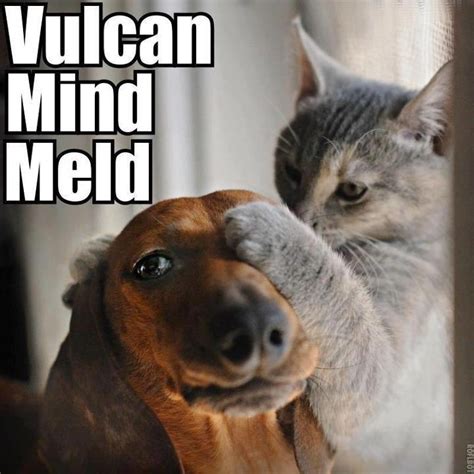 30 Funny Animal Captions Part 4 30 Pics Funny Animal Funny Photos Funny Mages Gallery