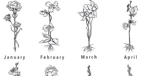 June Birth Month Flower Tattoo Best Tattoo Ideas