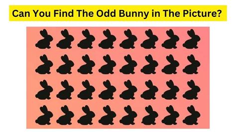 Brain Teaser For Iq Test Can You Find The Odd Bunny Hidden In The Nest