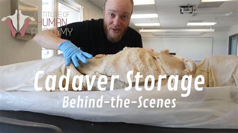Behind The Scenes Look At How Human Cadavers Are Stored Normally A Patreon Exclusive
