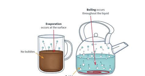 Evaporation Explained Infographic Rsc Education