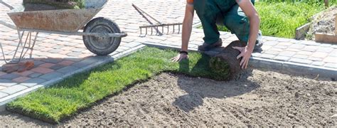 Top 9 Best Tool To Dig Up Grass