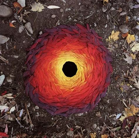 Discover Andy Goldsworthy Rowan Leaves And Hole 1987 The Wick