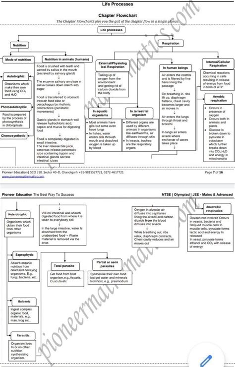 Hey Please Urgent Guys Proper Flow Chart Class Chapter Life Process In Science Brainly In