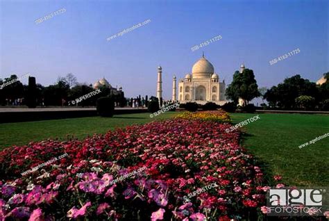 India Agra Taj Mahal Flowers Stock Photo Picture And Rights