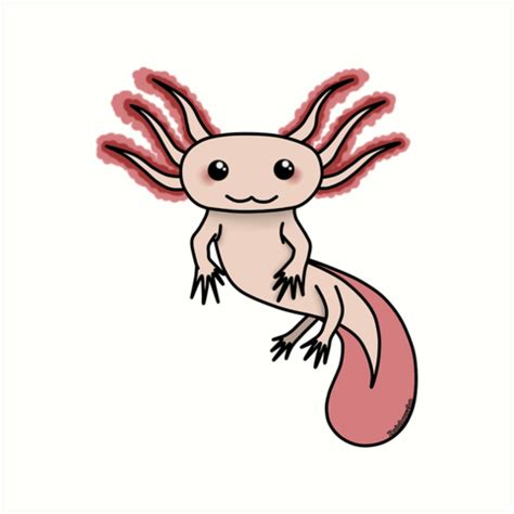 Chibi Axolotl Art Prints By Rainbowcho Redbubble