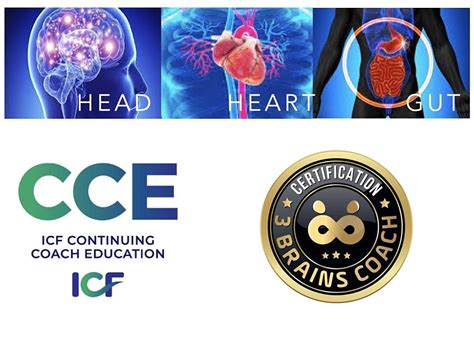 3 Brains Head Heart And Gut Coach Certification 30 Icf Cceus Online