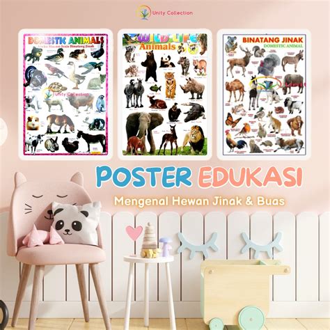 Jual Poster Edukasi Anak Belajar Binatang Jinak Dan Binatang Buas