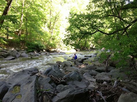 Your Guide To Rock Creek Park Getting The Most Out Of Washingtons