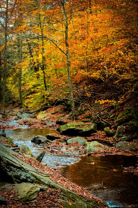 Autumn Creek By Chasing Railways Photography Autumn Scenery Fall
