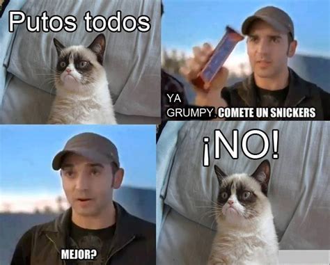 Memes De Grumpy Cat En Español Imagenes Chistosas