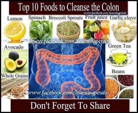 Colon Cleansing Foods Chart Top Foods For A Clean Colon Nutrition