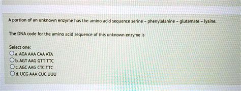 Solved A Portion Of An Unknown Enzyme Has The Amino Acid Sequence Serine Phenylalanine