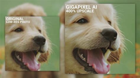 How To Enlarge Your Photos With Gigapixel Ai Youtube