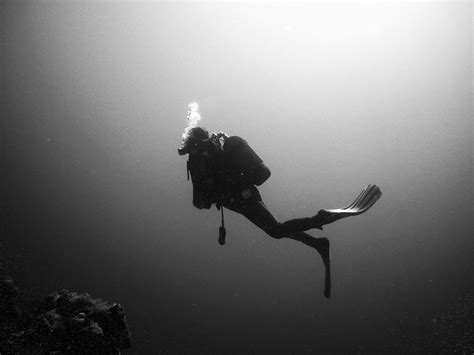 Download Scuba Diving Black And White Wallpaper