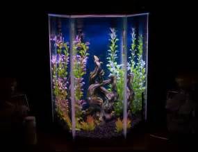 10 gallon hexagon aquarium