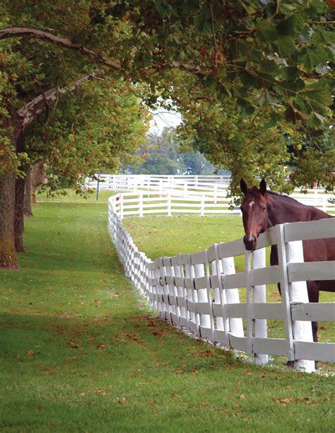 Fencing For The Dressage Facility Kentucky Horse Farms Horse Farms