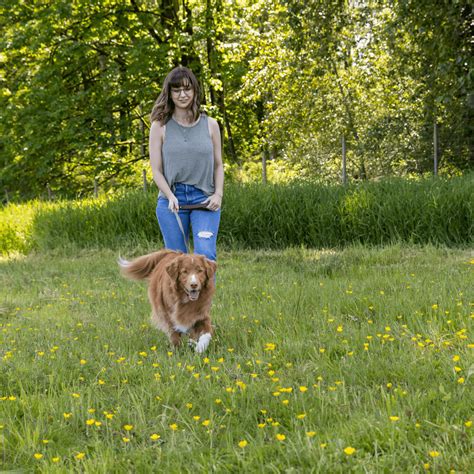 5 Must Know Tips For First Time Dog Owners Port Coquitlam Bc Pet
