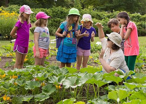 Rbg Experiences 2022 Childrens Gardening Programs Royal Botanical