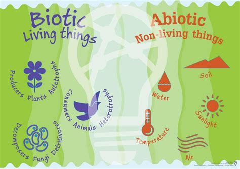 Biotic And Abiotic Life Science Middle School Abiotic Science