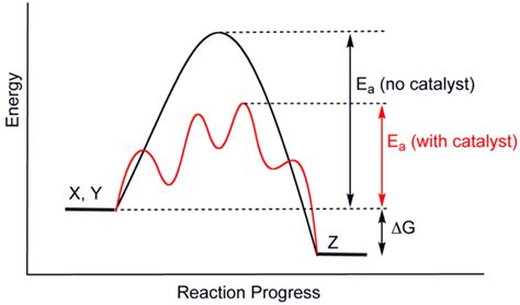 Homogeneous Catalysis Introduction To Chemistry Course Hero