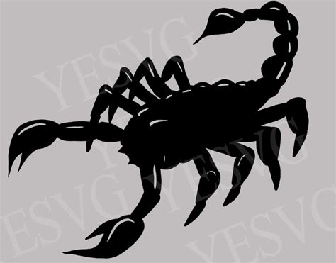Scorpio Svg File Scorpion Clipart Astrology Cut File For Etsy Gambaran