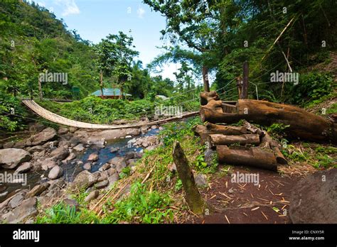 Bamboo Bridge Over River Near The Dark View Falls Saint Vincent And