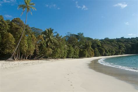 António costa está na comissão de honra da recandidatura de luís filipe vieira à presidência do benfica. Going Wild on The Beaches of Manuel Antonio, Costa Rica | Costa Rica