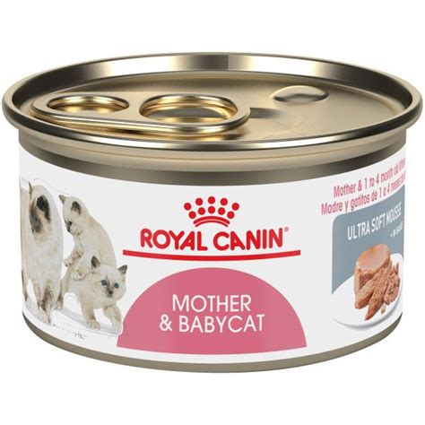 Sit on the floor near the kitty and read to it. Royal Canin Mother and Babycat Ultra Soft Mousse in Sauce ...