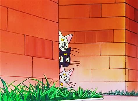 “sailor Moon” Is Back — So Are Anime Cats Luna And Artemis Catster