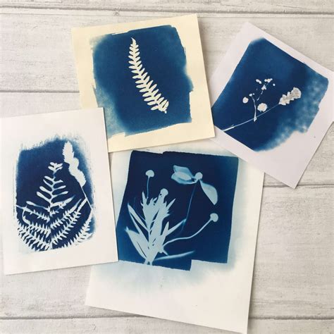 Cyanotype Printing Made And Making