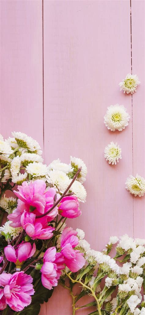 Spring Flowers On Wood Wallpapers Wallpaper Cave