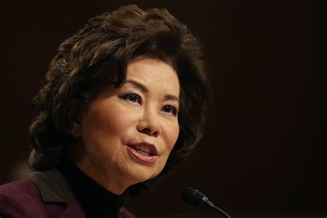 Other articles where elaine chao is discussed: Trump cabinet member Elaine Chao recalls her own #MeToo moment