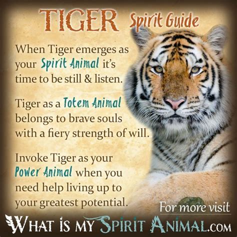 Tiger Spirit Totem Power Animal Symbolism Meaning 1200x1200 Tiger