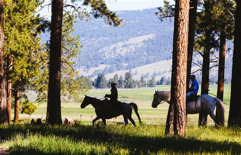 Montana Dude Ranch Horseback Riding Vacation The Resort At Paws Up