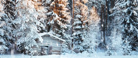 Winter Snowfall Wallpapers Top Free Winter Snowfall Backgrounds
