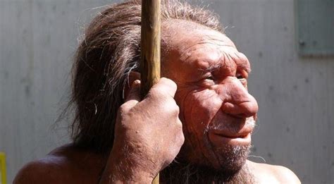 Explained Who Were The Neanderthals That Coexisted With The Modern Human