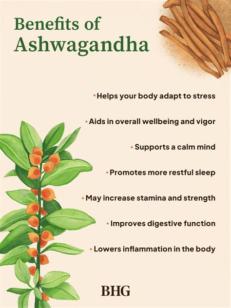 What To Know About Ashwagandha And Its Potentially Stress Reducing Benefits