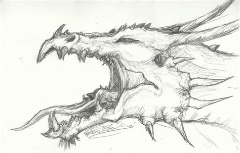 Roaring Dragon Head Sketch By Thousandwordstosay On Deviantart Dragon