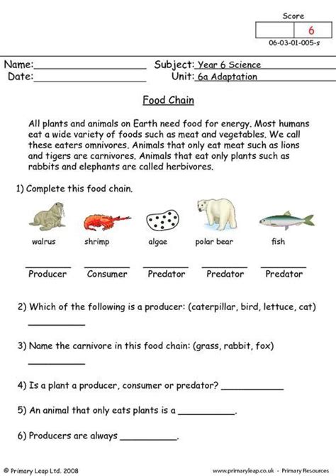 Discover The Food Chain With This Informative Worksheet Style Worksheets