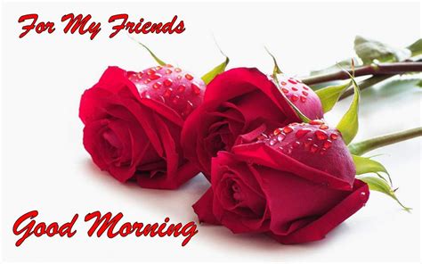 Good Morning Friend Flower Good Morning My Cute Friends Have A