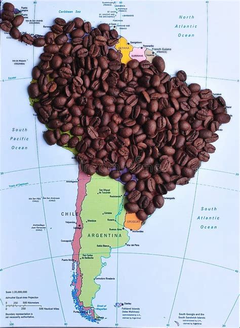 Coffee Producers In South America Stock Image Image Of Crop America 22659583