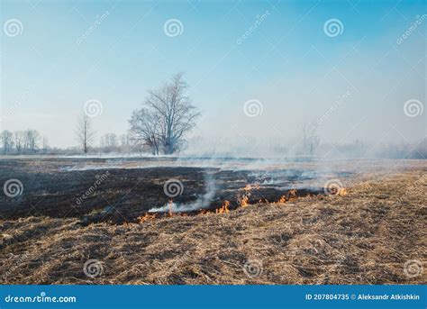Wildfire And Smoke Stock Image Image Of Grassland Fire 207804735