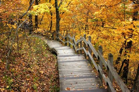 Here Are The Best Times And Places To View Fall Foliage In Iowa Artofit