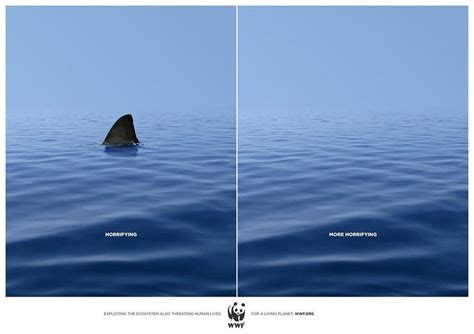 Wwf Shark Ads Of The World™ Social Awareness Posters Wwf Poster